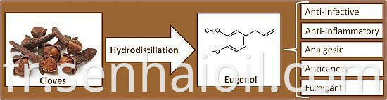 Eugenol